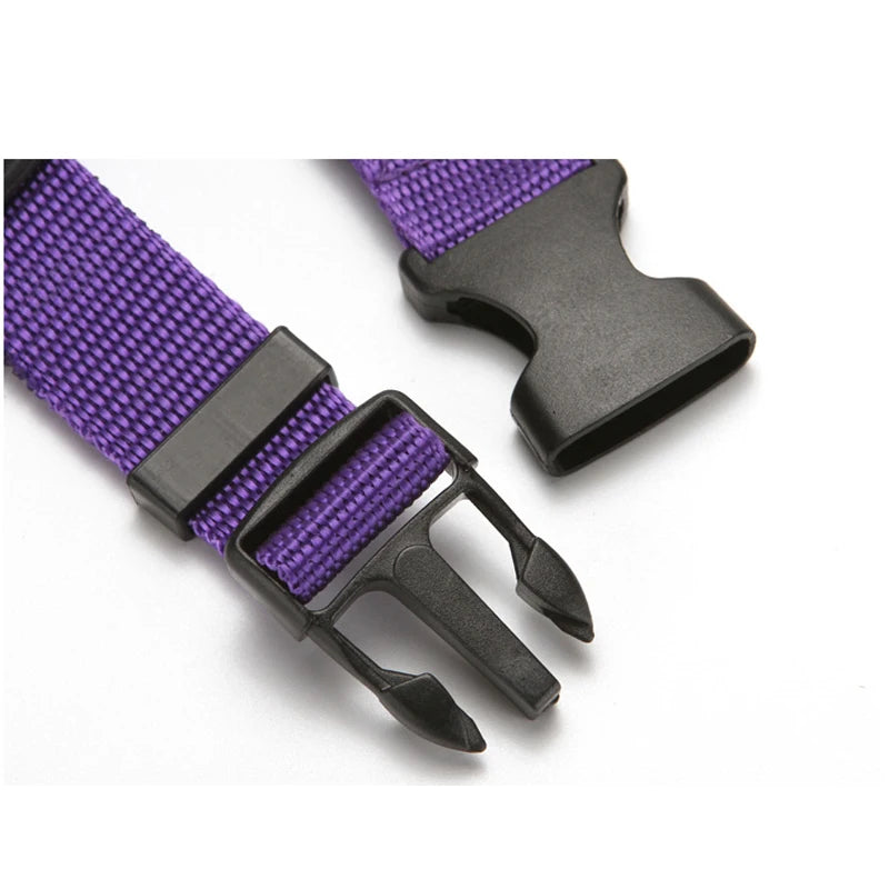 Solid Color Two-in-one Pet Car Seat Belt