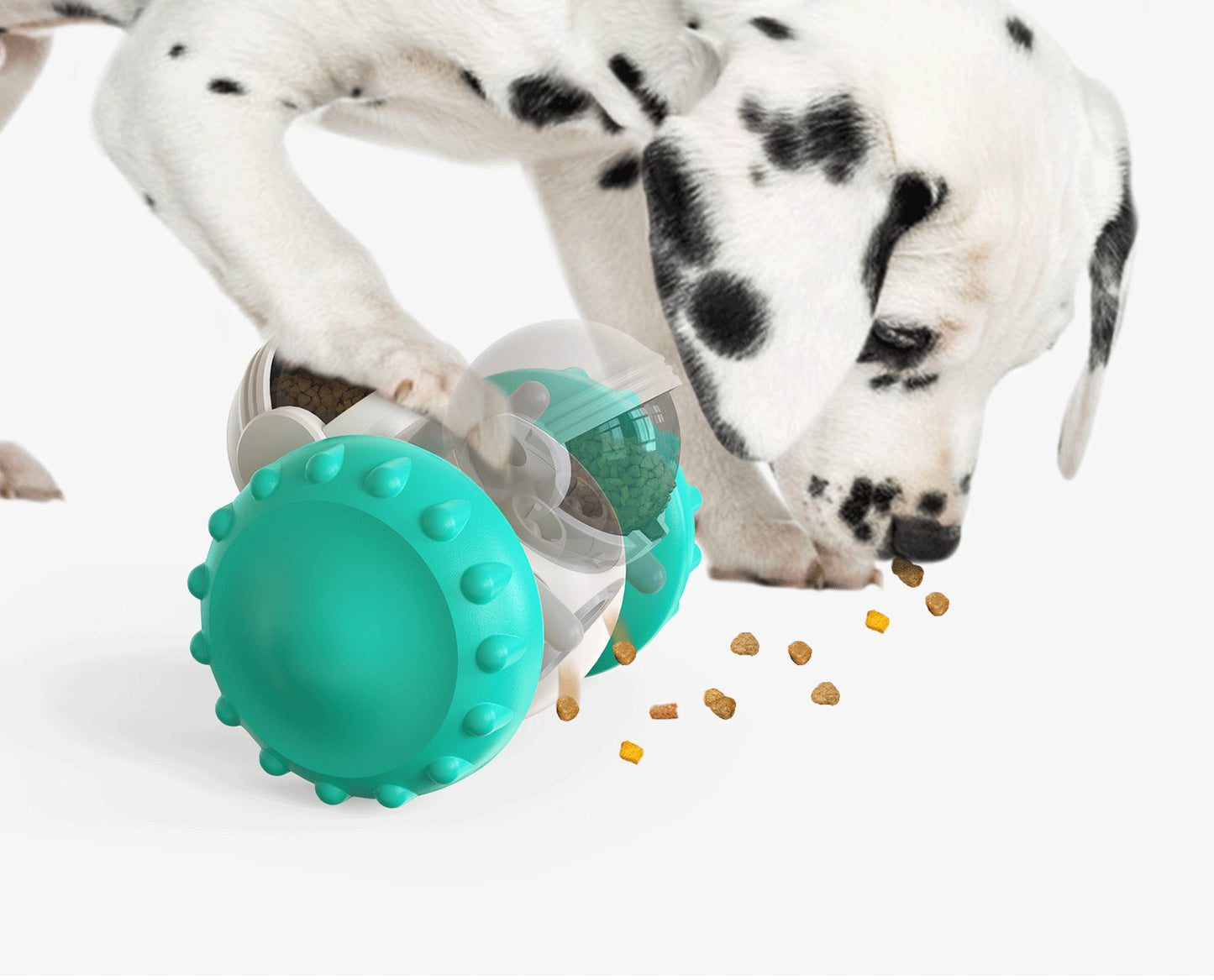 Pet Food Dispenser Toy