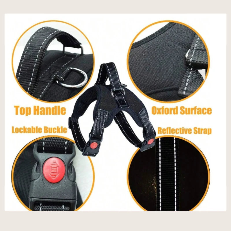 Pet Leash Medium and Large Dog