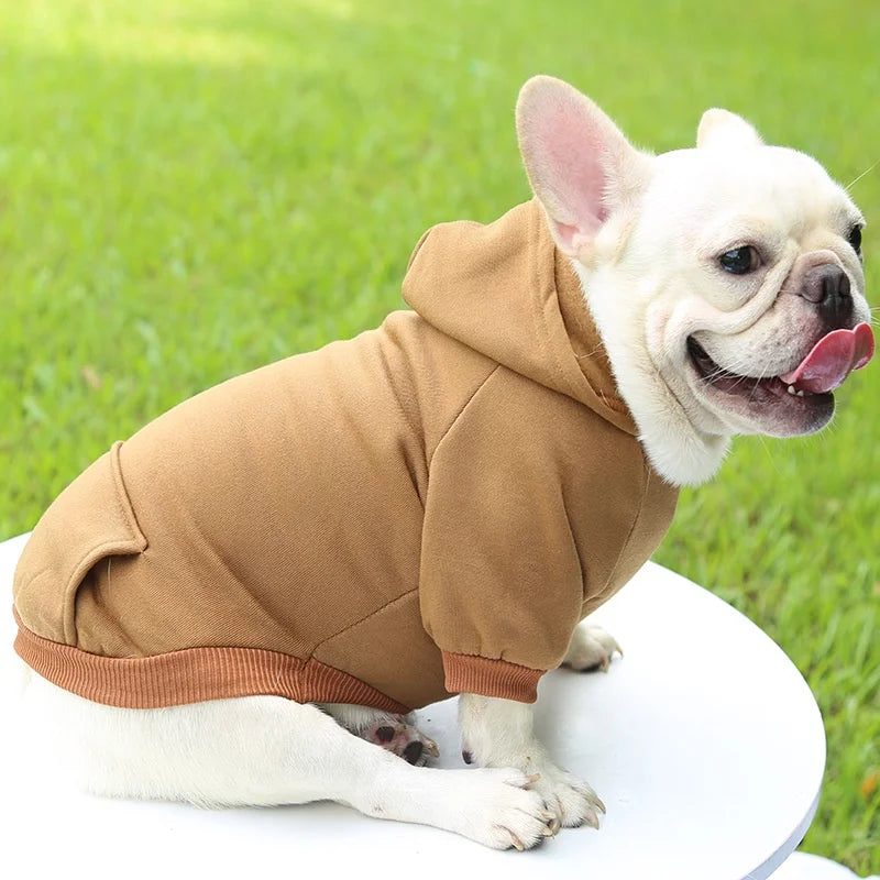 Dog Winter Jacket