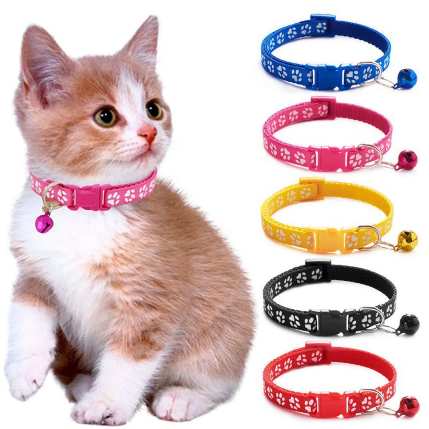 Collar & Reflective Cat Safety Set