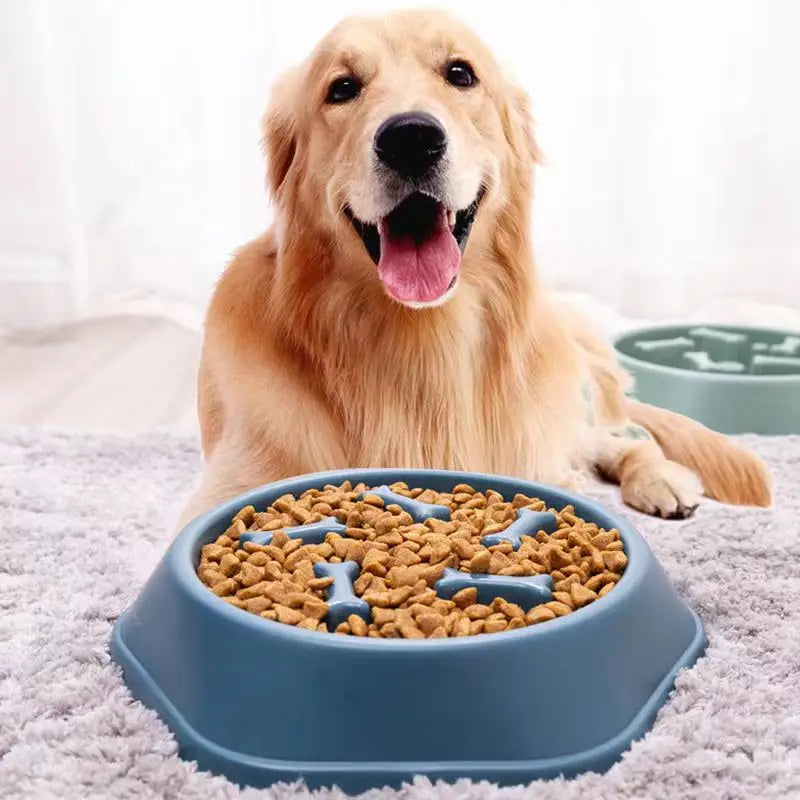 Slow Feeder Dog Bowl Anti-choking Slow Feeding