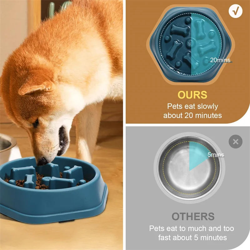 Dog Feeding Bowl for Slow Eating