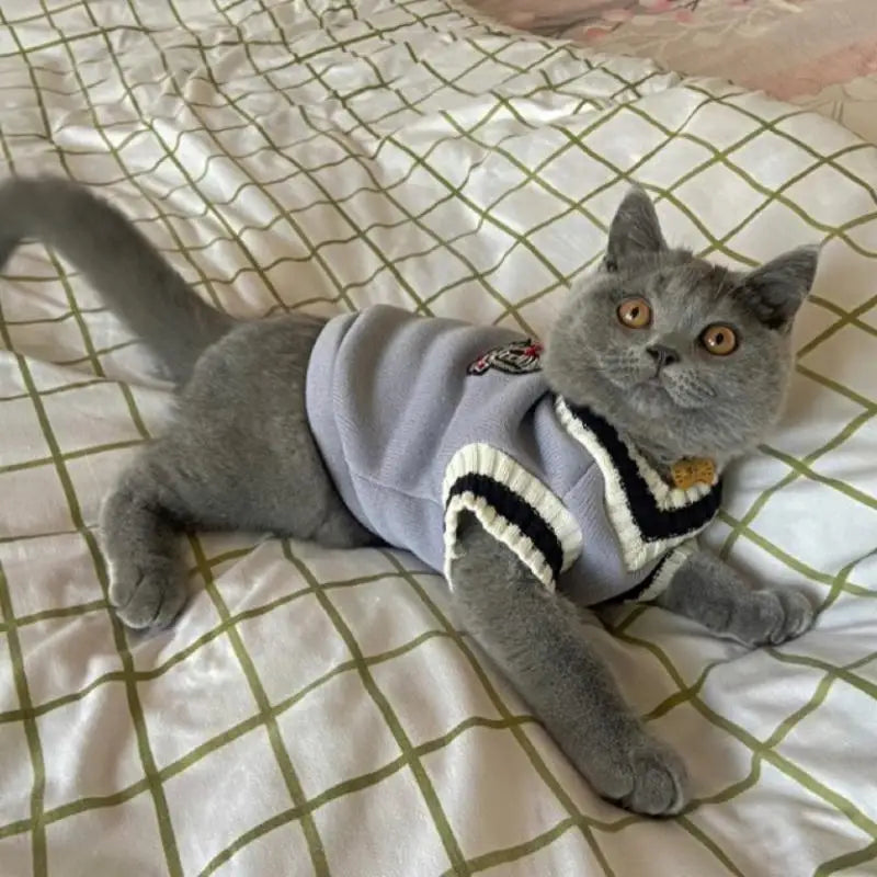 Pet Solid Costume  Cat Clothes Jacket