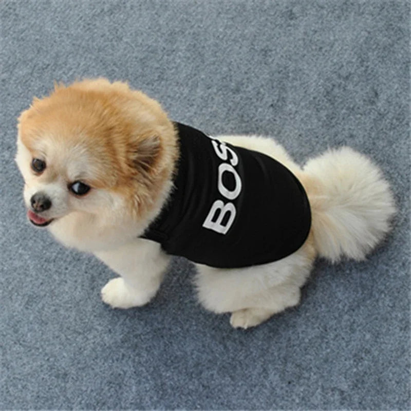 Security Pet Clothes