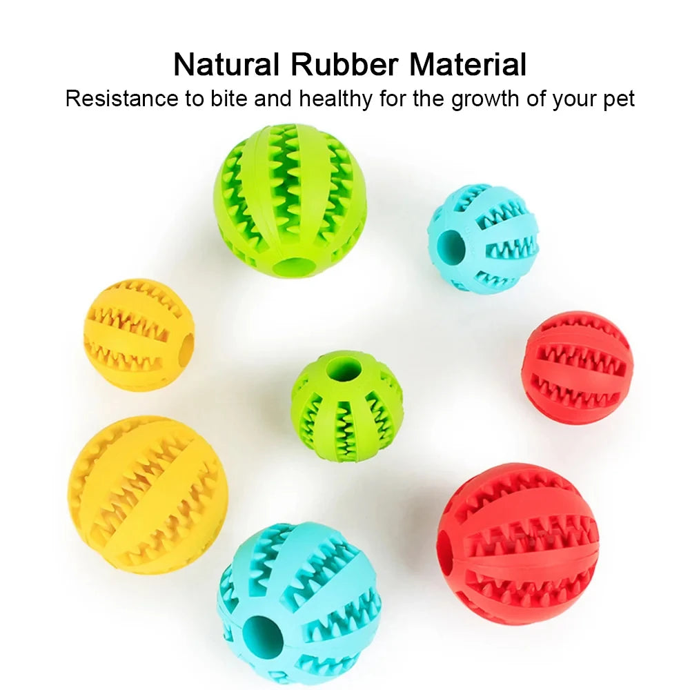 Pet Dog Toy Interactive  Balls