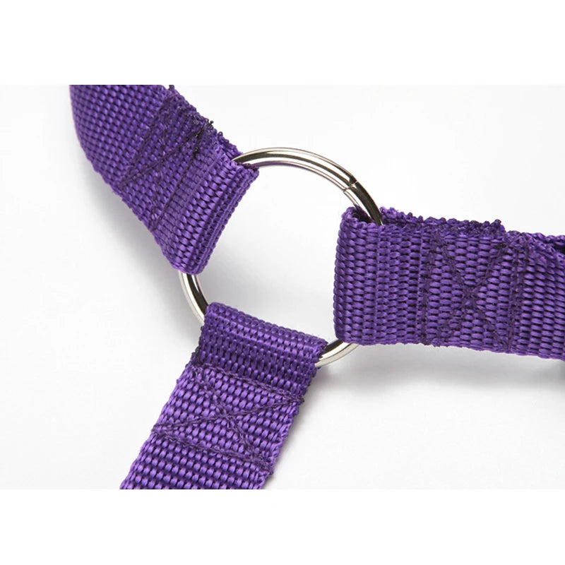 Solid Color Two-in-one Pet Car Seat Belt