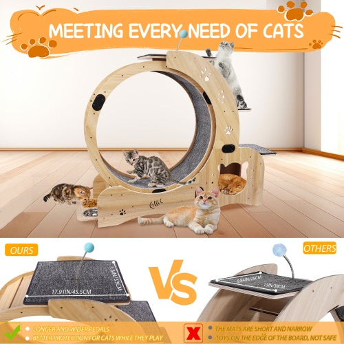 Cat Exercise Wheel 6 in 1